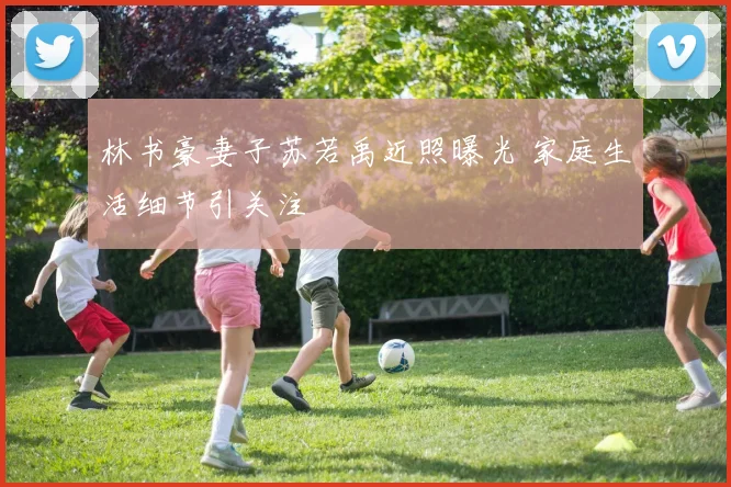 林书豪妻子苏若禹近照曝光 家庭生活细节引关注