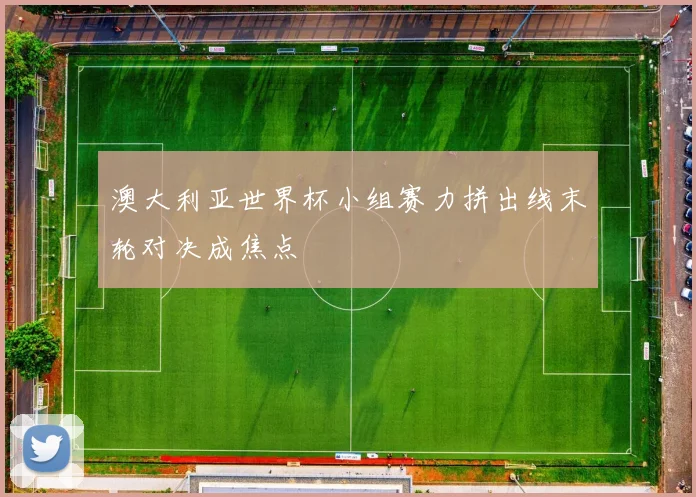 澳大利亚世界杯小组赛力拼出线末轮对决成焦点