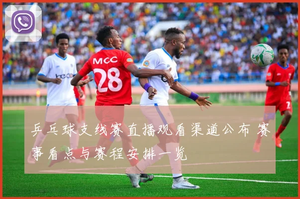 乒乓球支线赛直播观看渠道公布 赛事看点与赛程安排一览