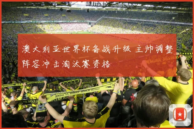 澳大利亚世界杯备战升级 主帅调整阵容冲击淘汰赛资格