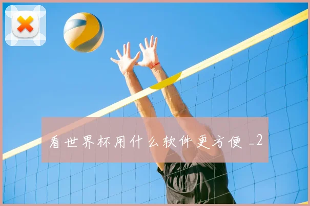 看世界杯用什么软件更方便 _2