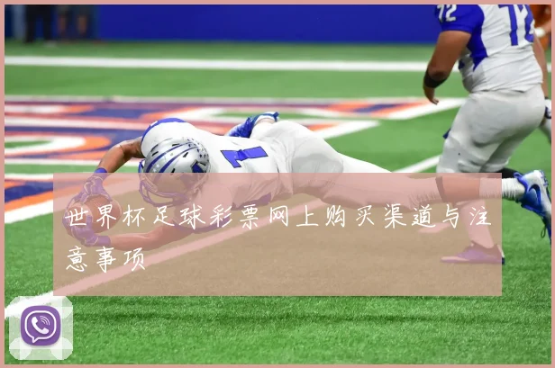 世界杯足球彩票网上购买渠道与注意事项