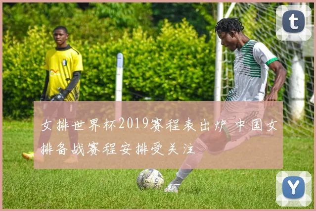 女排世界杯2019赛程表出炉 中国女排备战赛程安排受关注