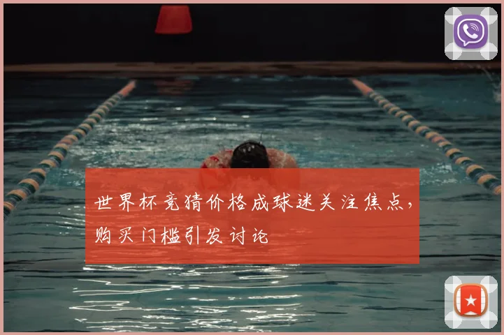 世界杯竞猜价格成球迷关注焦点,购买门槛引发讨论