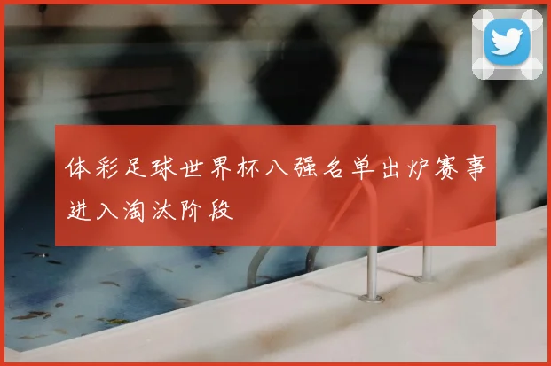 体彩足球世界杯八强名单出炉赛事进入淘汰阶段