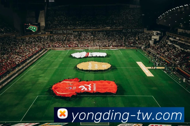 c7官网入口服务体系