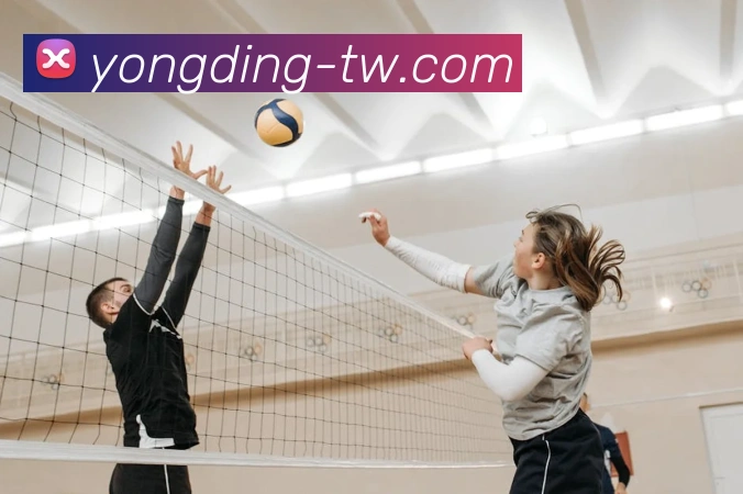 多媒体互动体验